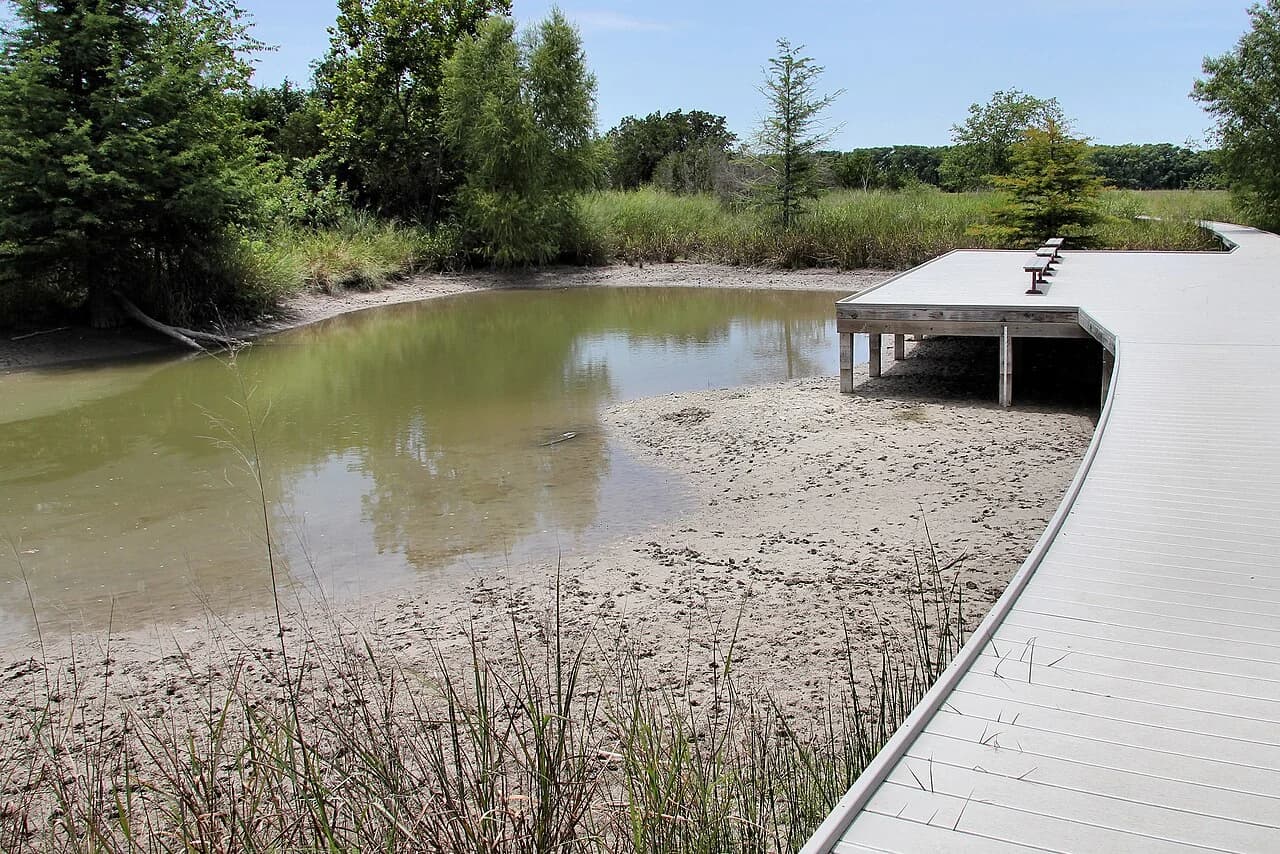 Nearby Boerne: the marsh at Cibolo Nature Center