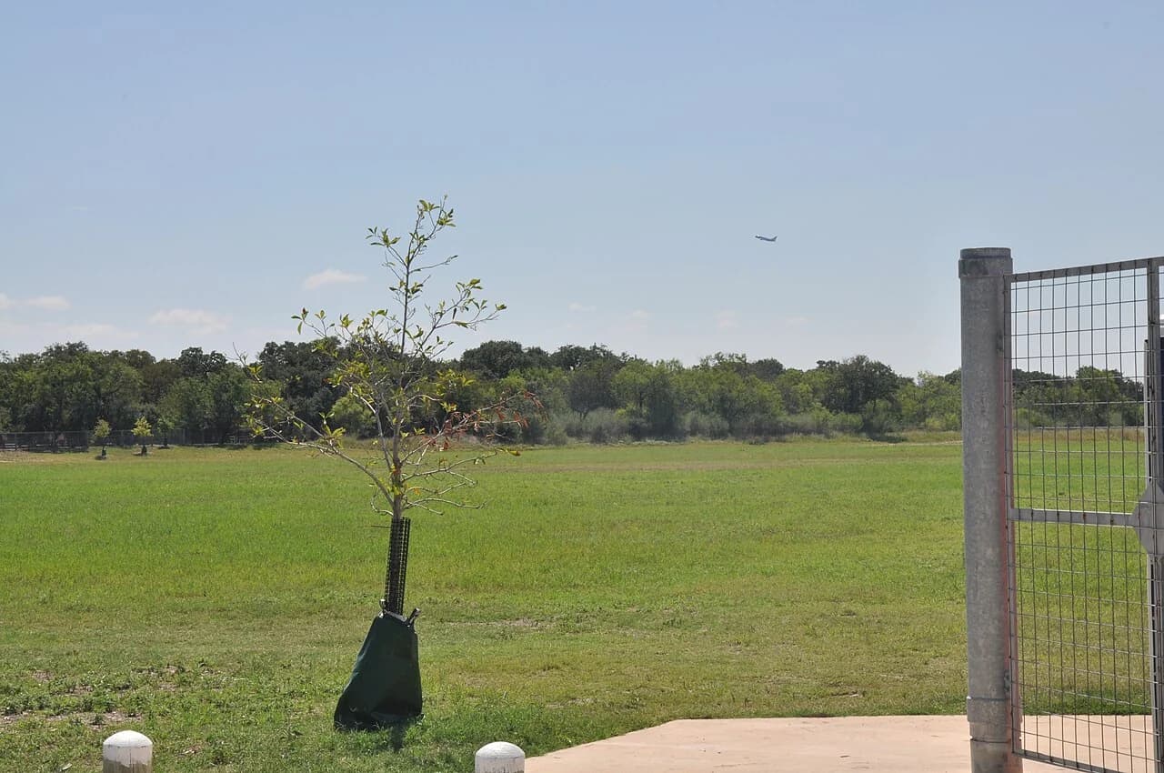 Nearby San Antonio: McAllister Park