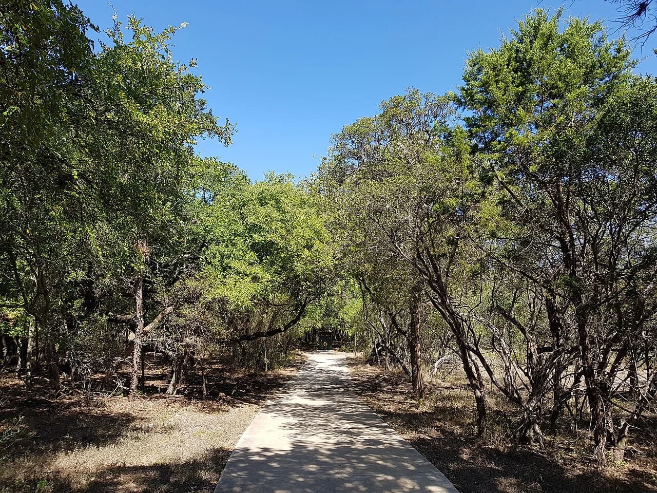 Nearby San Antonio: Phil Hardberger Park