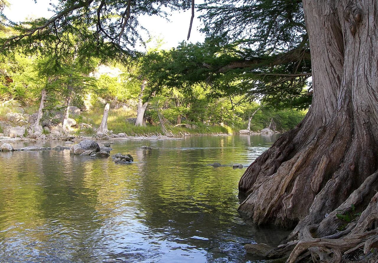 Guadalupe River State Park near Spring Branch